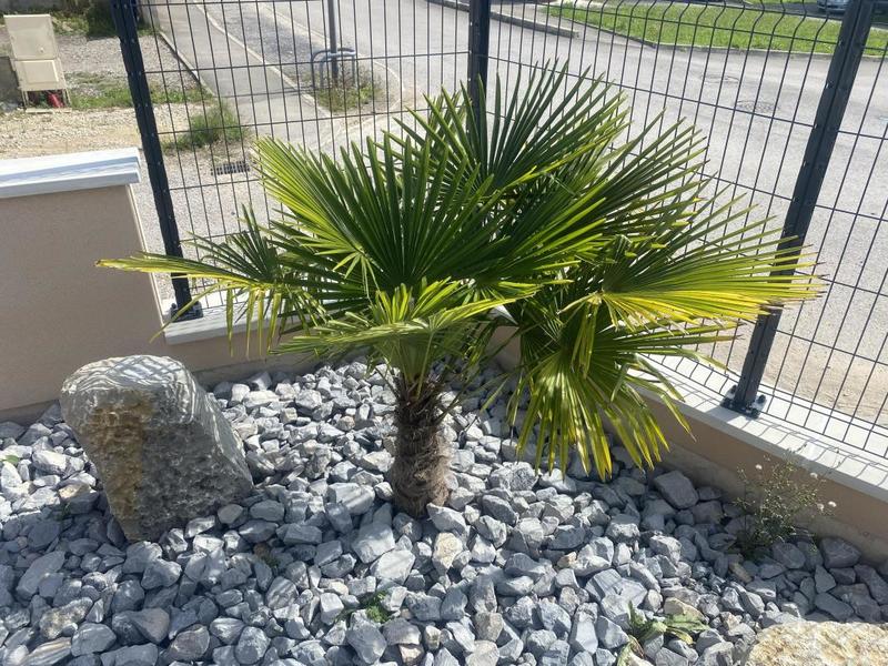 Maison - 147 m² - 5 pièces