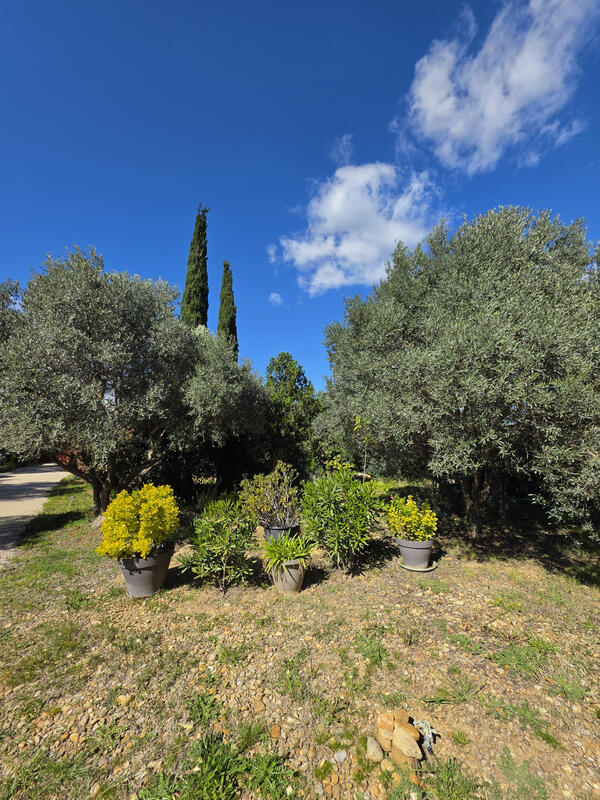 Maison - 122 m² - 5 pièces