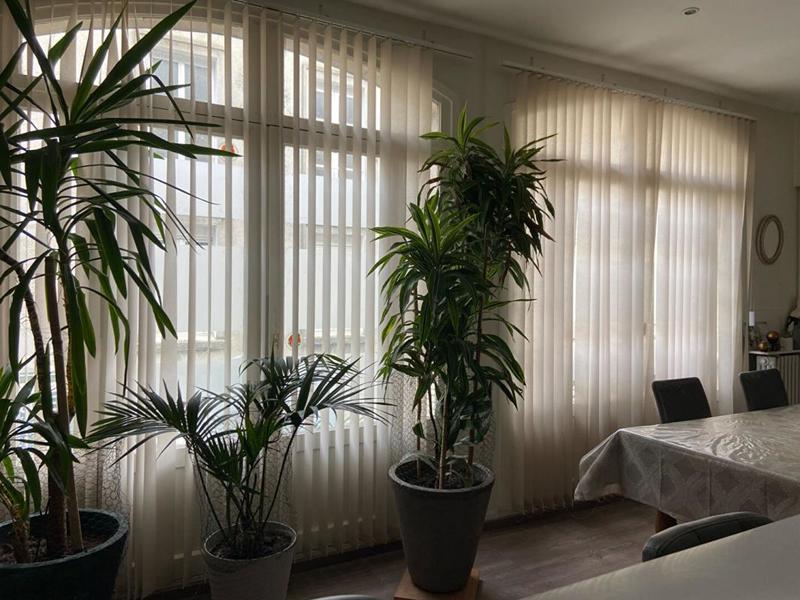 Immeuble - 162 m² - 8 pièces