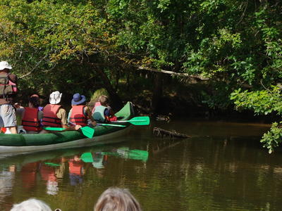Descente de la Leyre en canoe collectif