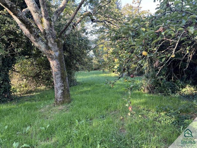 Propriété - 242 m² - 8 pièces