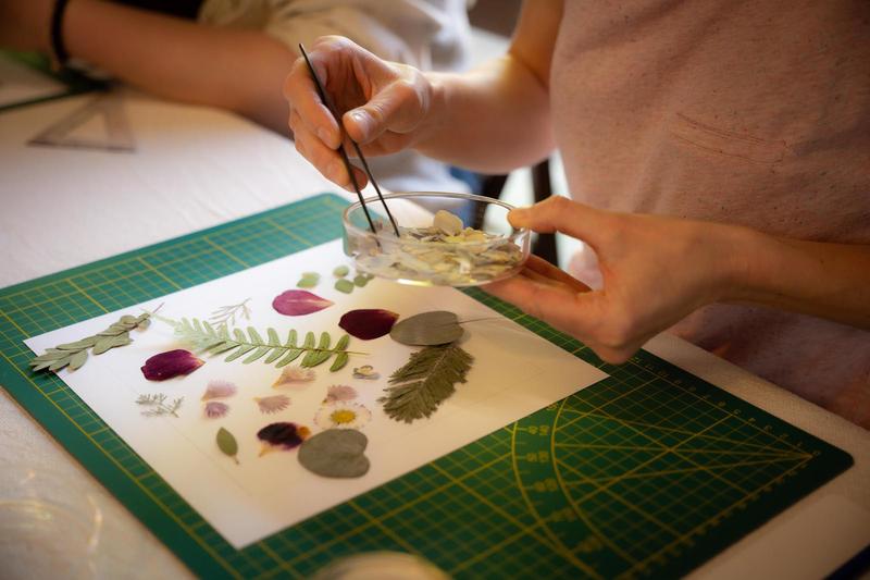 Les ateliers du salon Chambard - la valse des pétales, herbier fleuri