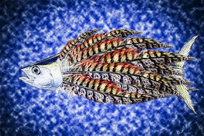 Exposition de photographies