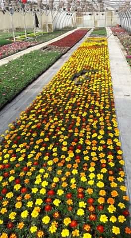 Les Serres de la Droude