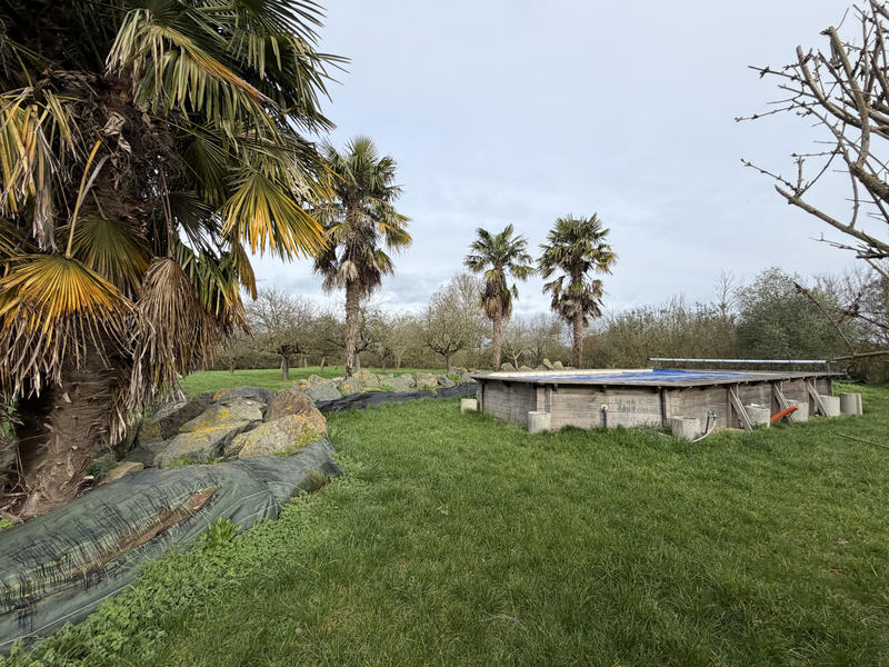 Maison - 230 m² - 7 pièces