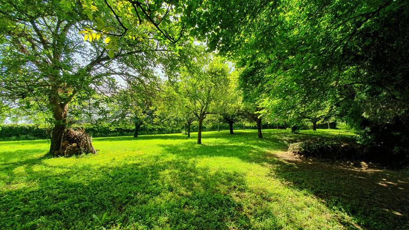 Maison de maîtres - 186 m² - 8 pièces