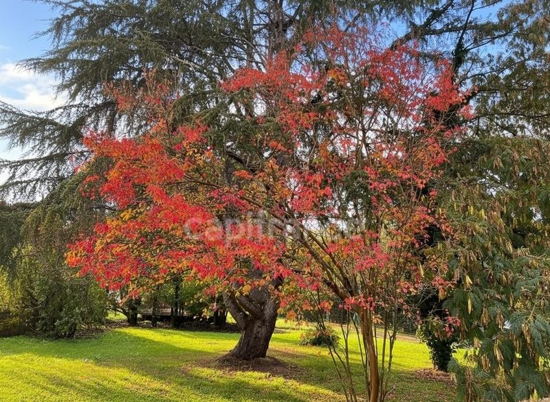 Demeure - 254 m² - 9 pièces