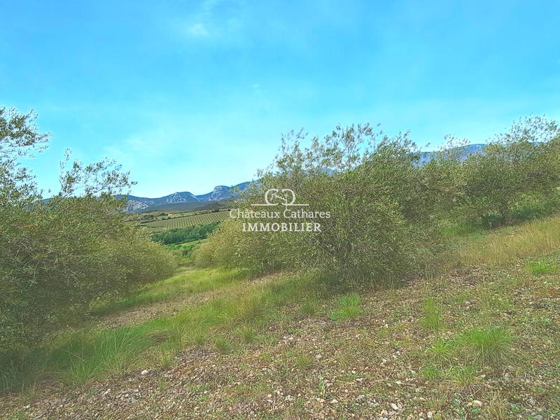 Terrain agricole - 51 314 m²