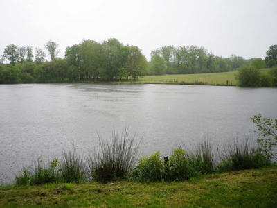 Terrain - 32 200 m²