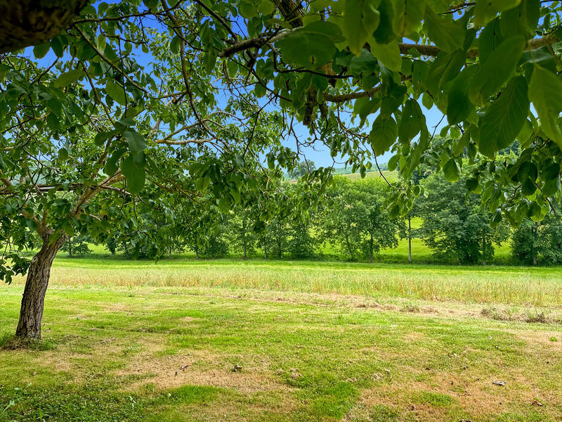 Propriété - 252 m² - 8 pièces