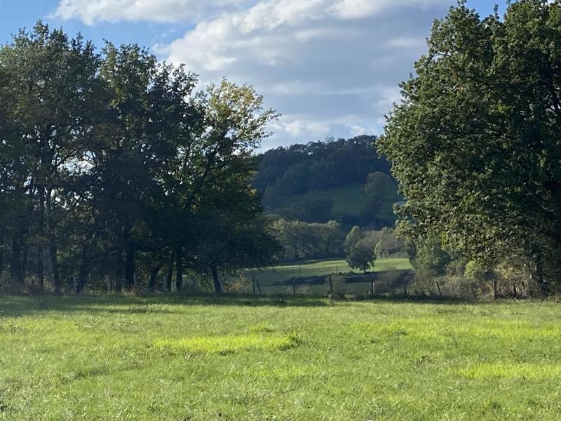 Terrain constructible - 2 988 m²