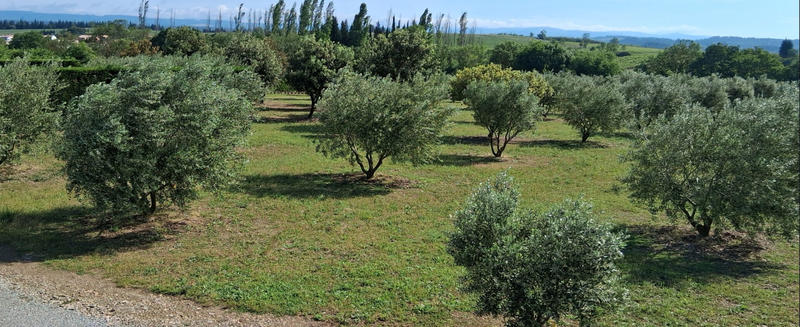 Terrain de loisirs - 11 465 m²