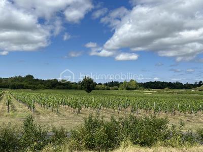 Terrain - 237 900 m²