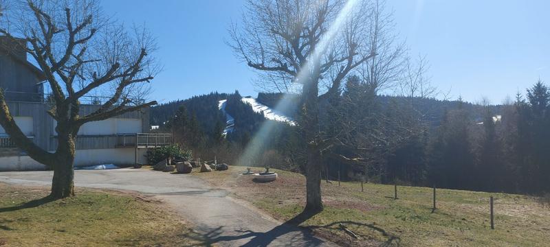 Appartement - 50 m² - 3 pièces