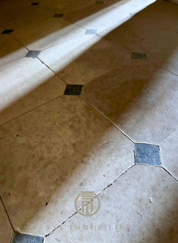 Château - 947 m² - 28 pièces