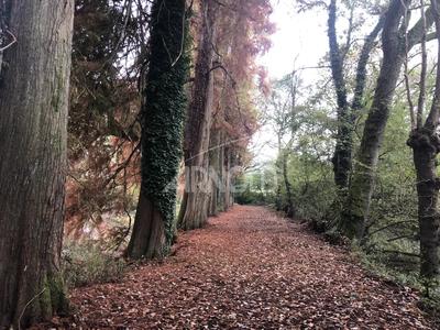 Moulin - 250 m² - 5 pièces