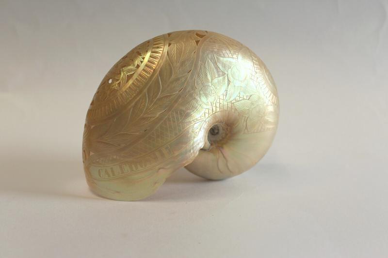 Les jeudis du musée : les collections océaniennes