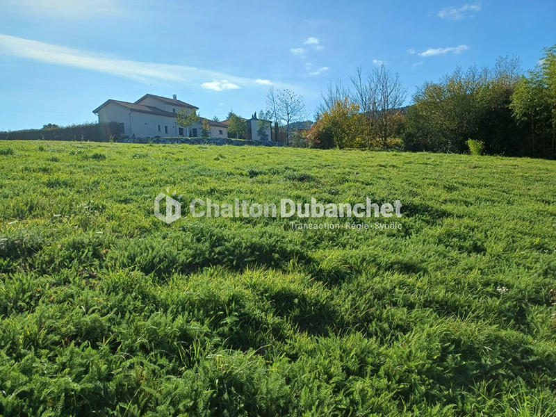 Terrain - 1 453 m²