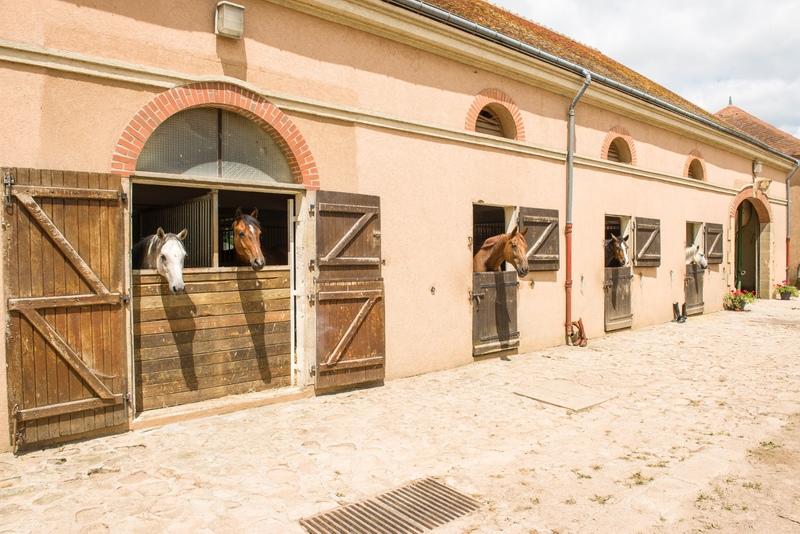 Propriété - 1 425 m² - 24 pièces