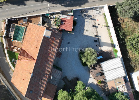 Local commercial - 20 pièces