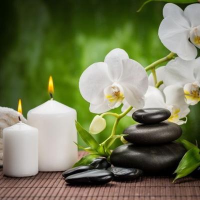 Michel Sophie - Technique Douce des Rebouteux