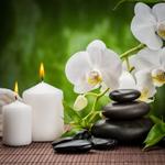 Michel Sophie - Technique Douce des Rebouteux