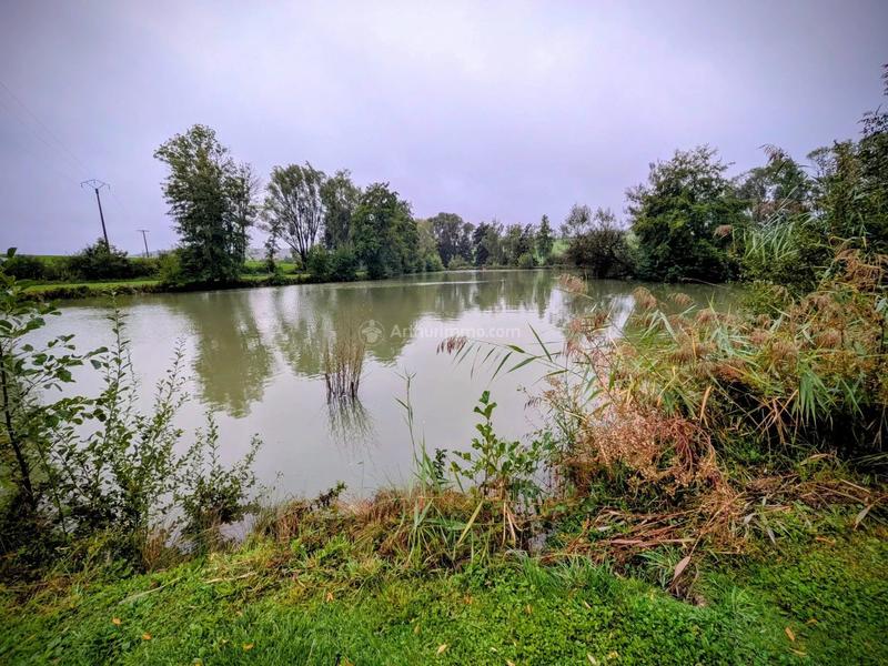 Terrain - 17 430 m²