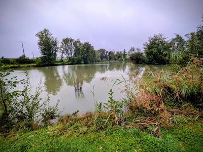 Terrain - 17 430 m²