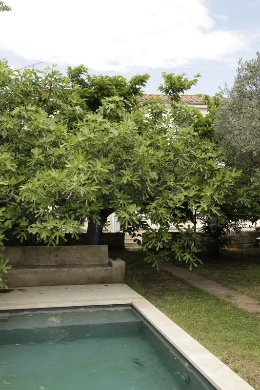 Aata massage - ayurveda &amp; watsu