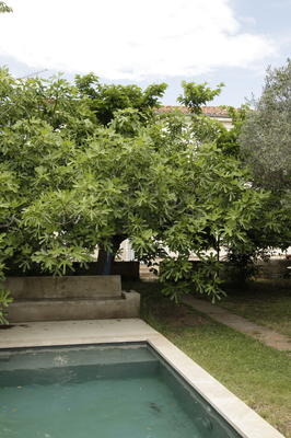 Aata massage - ayurveda &amp; watsu