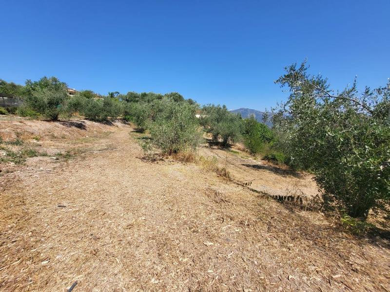 Terrain - 3 964 m²