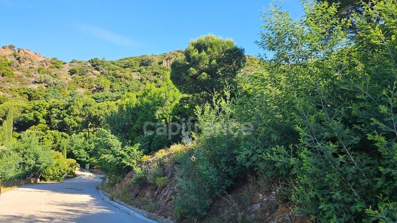 Terrain constructible - 1 300 m²