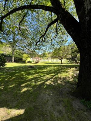 Propriété - 268 m² - 14 pièces