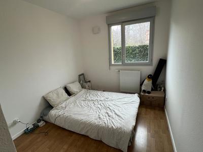 Appartement - 50 m² - 3 pièces