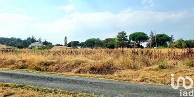 Terrain - 11 884 m²