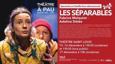 Théâtre à Pau - les séparables (spectacle famille)
