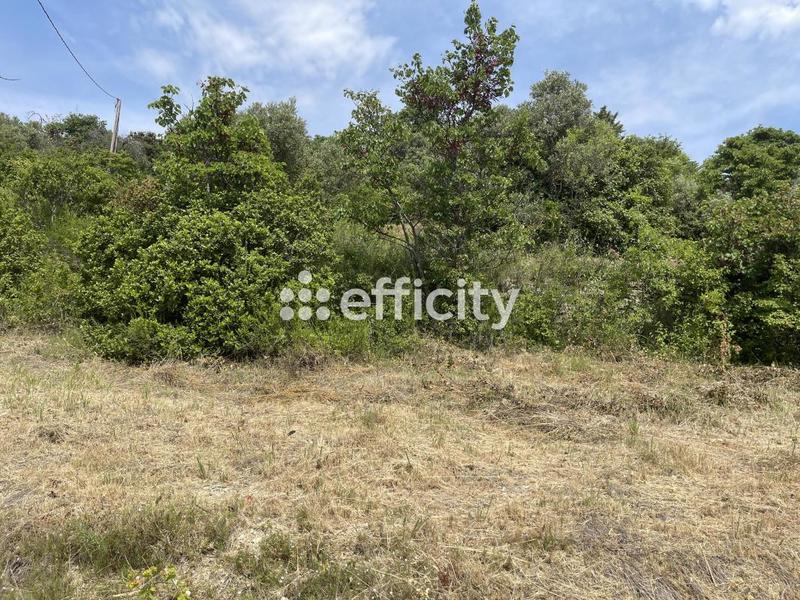 Terrain - 7 932 m²