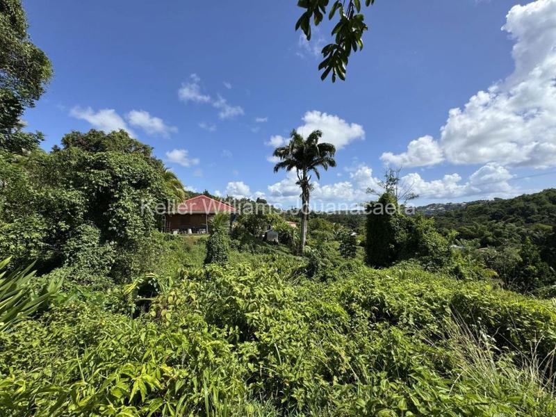 Terrain constructible - 3 500 m²