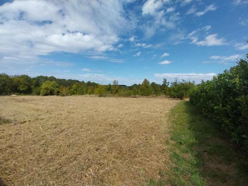 Terrain constructible - 2 339 m²