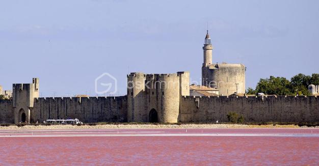 Studio - 19 m² - 1 pièce