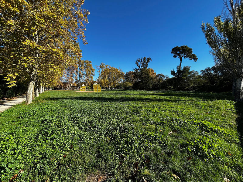 Appartement - 79 m² - 4 pièces