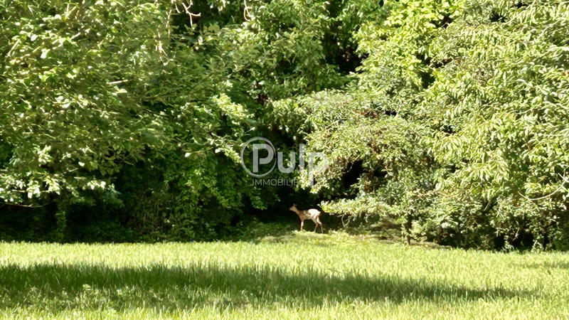 Maison - 273 m² - 12 pièces