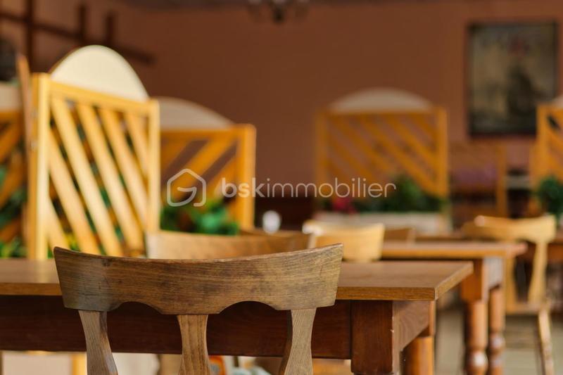 Local commercial - 490 m² - 13 pièces