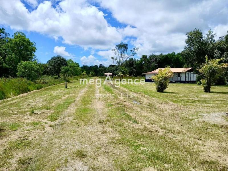 Maison de campagne - 350 m² - 8 pièces