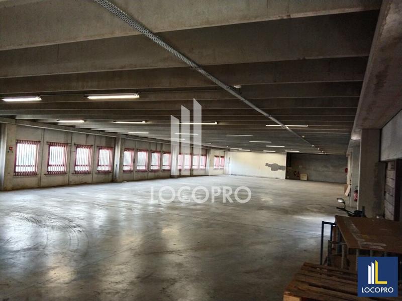 Local d'activité / Entrepôt - 3 000 m²