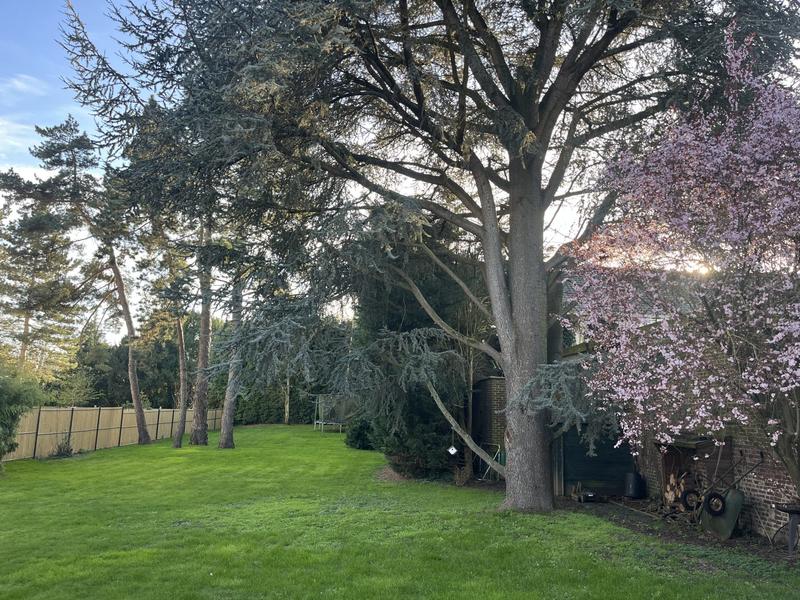 Maison - 257 m² - 8 pièces