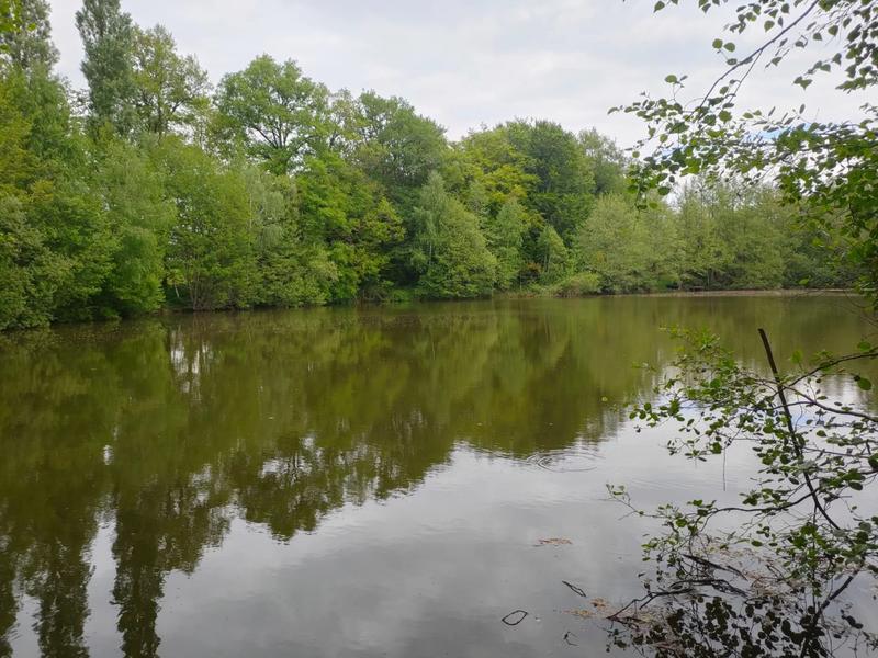 Terrain - 14 125 m²