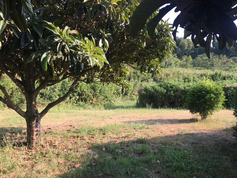 Appartement - 240 m² - 10 pièces