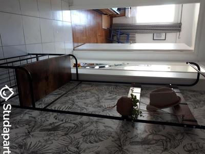 Chambre - 12 m² - 1 pièce