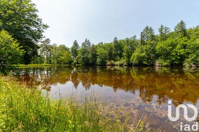 Terrain - 39 973 m²